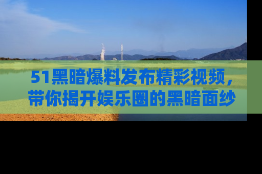 51黑暗爆料发布精彩视频,带你揭开娱乐圈的黑暗面纱