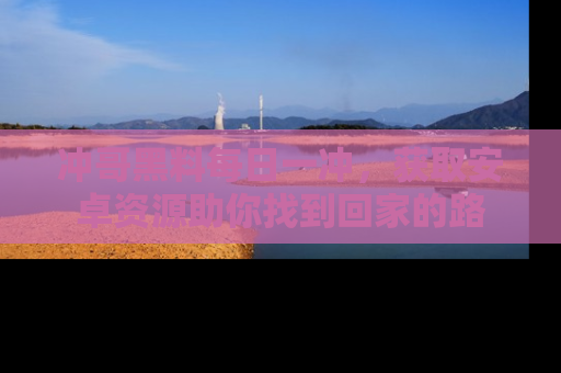 冲哥黑料每日一冲，获取安卓资源助你找到回家的路