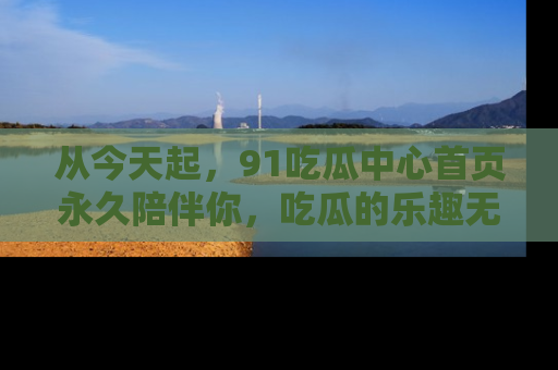 从今天起，91吃瓜中心首页永久陪伴你，吃瓜的乐趣无穷无尽！