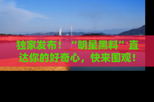 独家发布！“明星黑料”直达你的好奇心，快来围观！