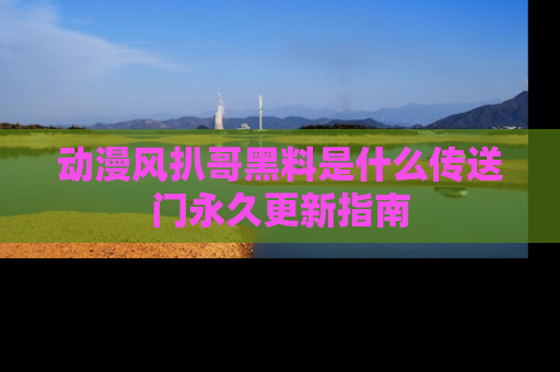 动漫风扒哥黑料是什么传送门永久更新指南