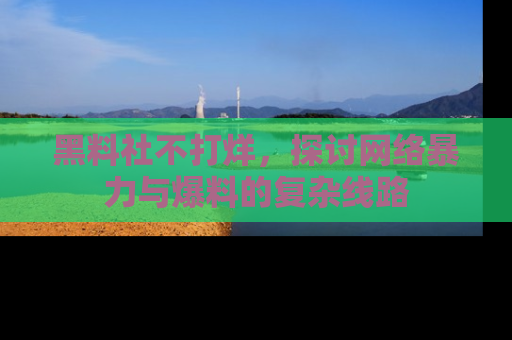 黑料社不打烊，探讨网络暴力与爆料的复杂线路