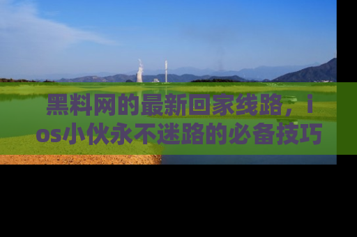 黑料网的最新回家线路，ios小伙永不迷路的必备技巧！