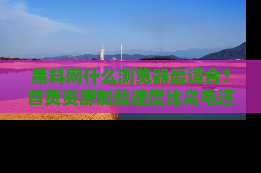 黑料网什么浏览器最适合？首页资源加载速度比乌龟还慢的体验真心吐槽！