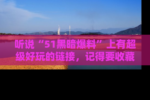 听说“51黑暗爆料”上有超级好玩的链接，记得要收藏哦！