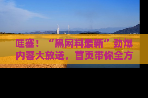 哇塞！“黑网料最新”劲爆内容大放送，首页带你全方位了解哦，小可爱们