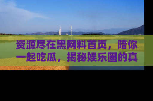 资源尽在黑网料首页,陪你一起吃瓜,揭秘娱乐圈的真实内幕