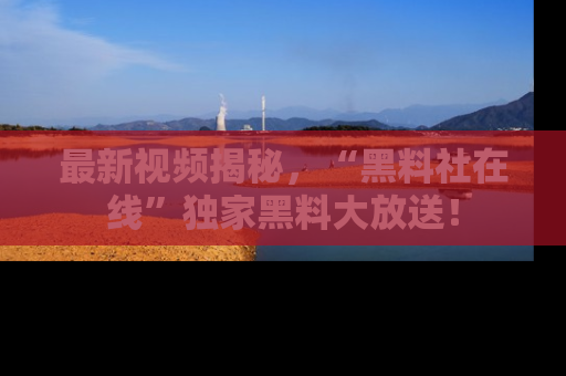 最新视频揭秘,“黑料社在线”独家黑料大放送!
